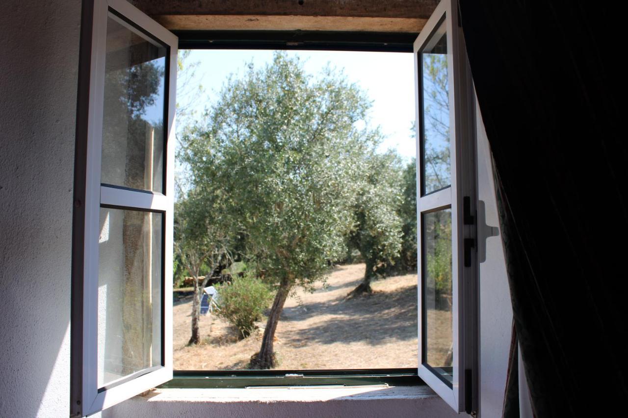 הוילה טומאר Casa Dos Terranhos מראה חיצוני תמונה