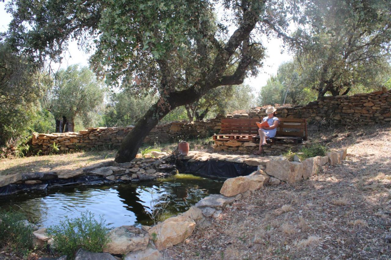 הוילה טומאר Casa Dos Terranhos מראה חיצוני תמונה