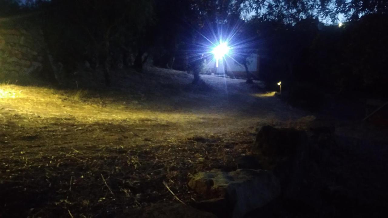 הוילה טומאר Casa Dos Terranhos מראה חיצוני תמונה