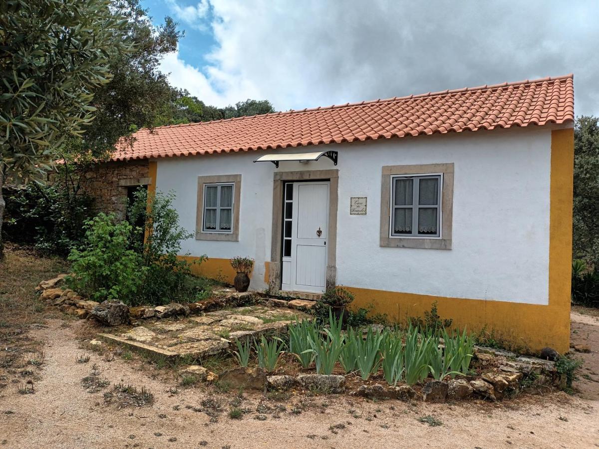 הוילה טומאר Casa Dos Terranhos מראה חיצוני תמונה