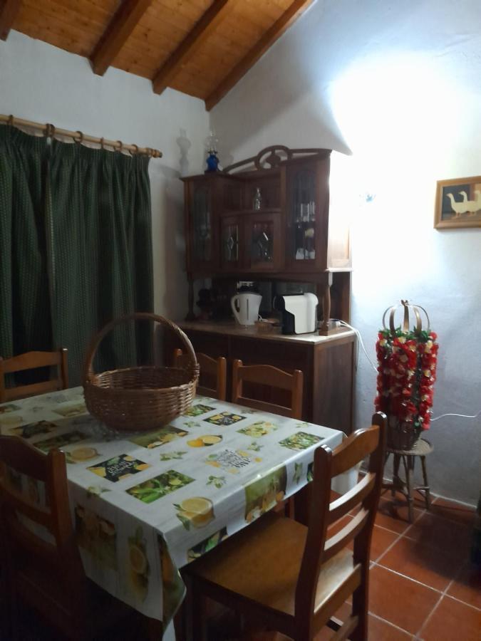 הוילה טומאר Casa Dos Terranhos מראה חיצוני תמונה