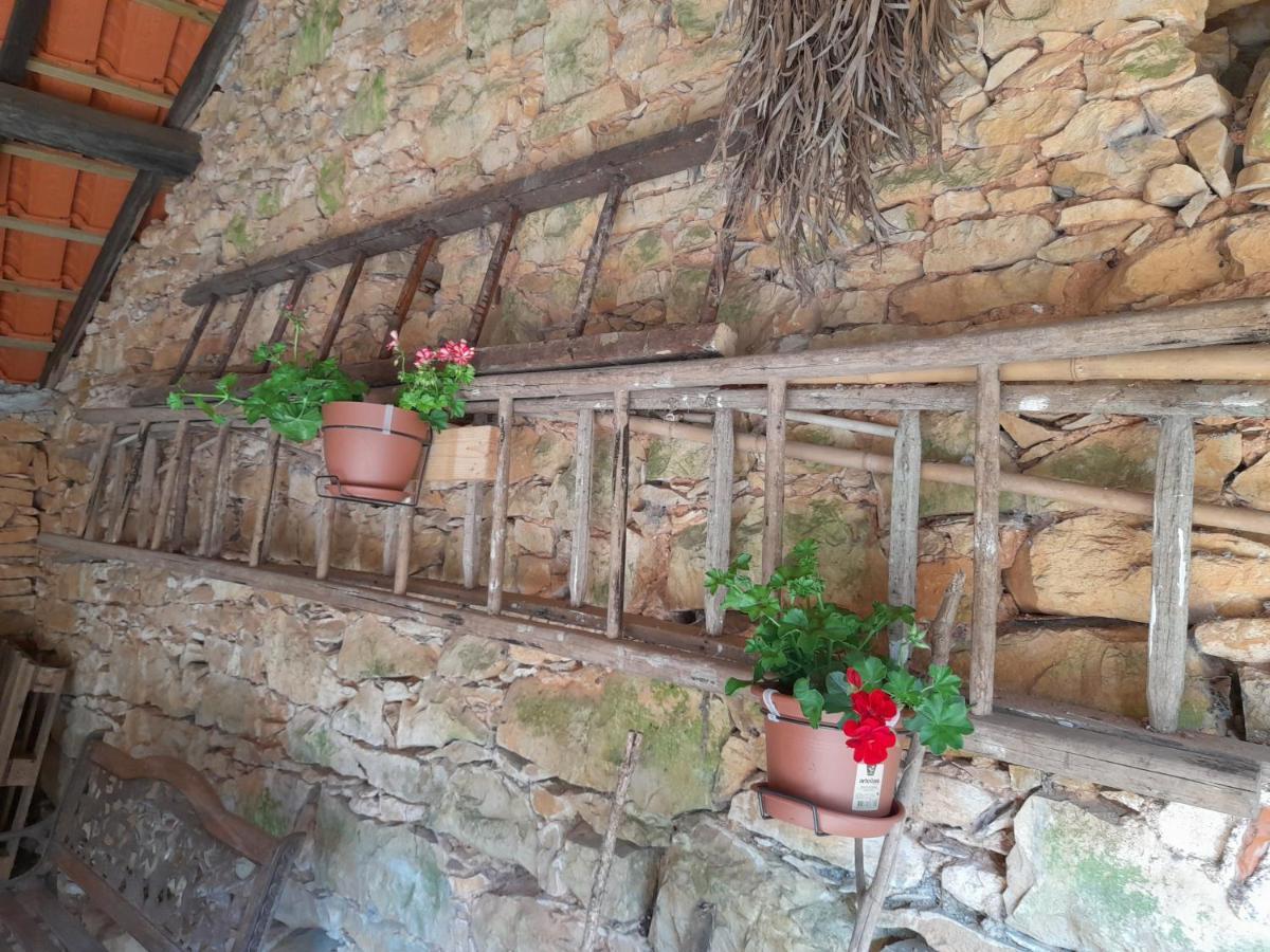 הוילה טומאר Casa Dos Terranhos מראה חיצוני תמונה