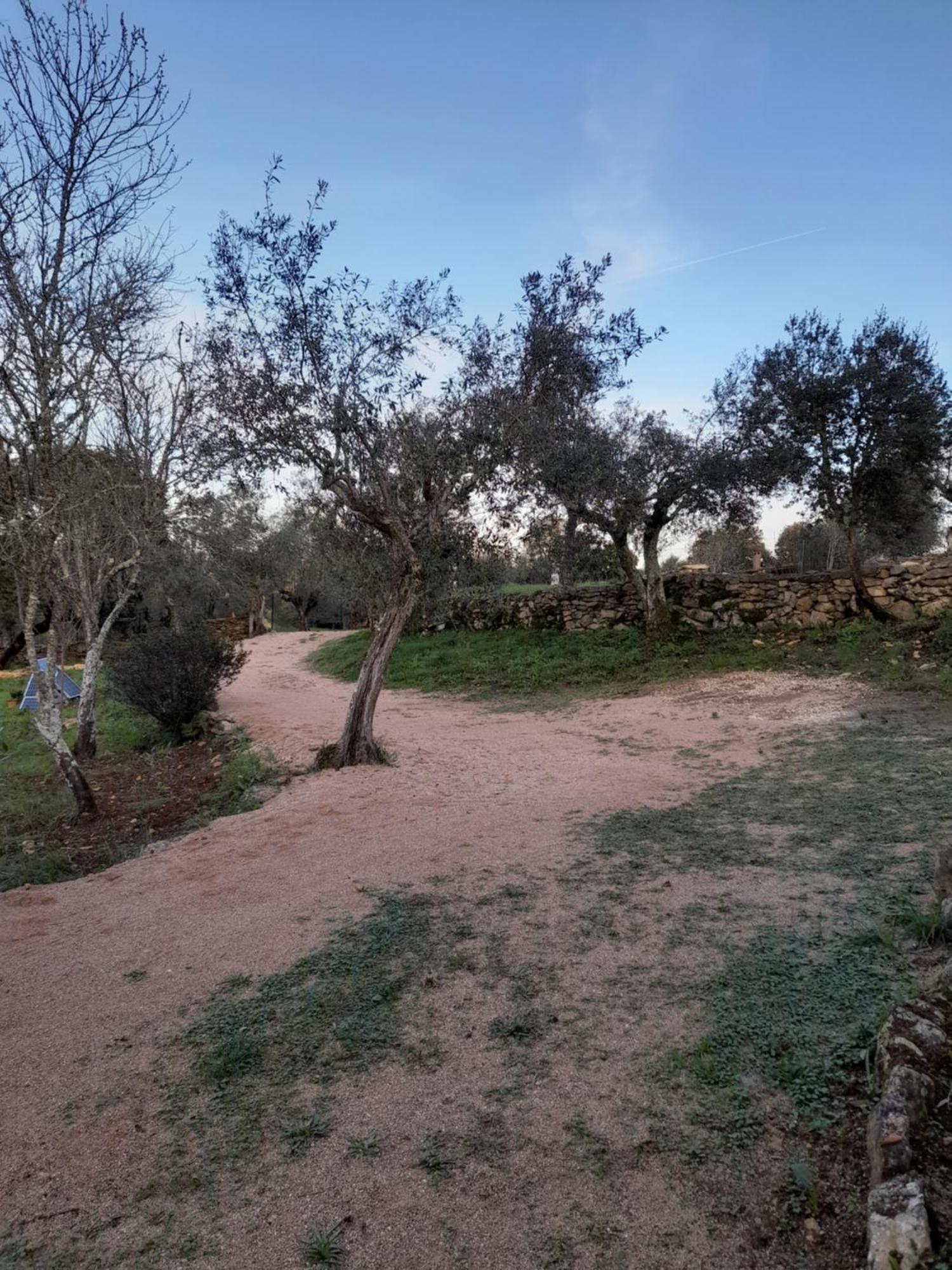 הוילה טומאר Casa Dos Terranhos מראה חיצוני תמונה